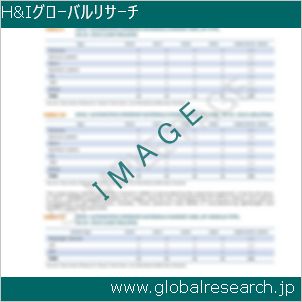 グローバルリサーチ調査レポートのイメージ